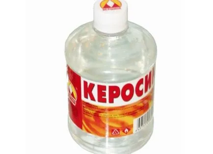 A korrupció elleni Medvedkov, a kertben - jelek, módszerek A terrorizmus elleni Medvedkov, a kertben - jelek, módszerek