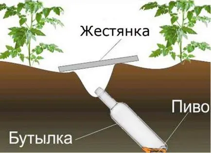 A terrorizmus elleni Medvedkov, a kertben - jelek, módszerek (lótücsökfélék) A terrorizmus elleni Medvedkov, a kertben - jelek, módszerek