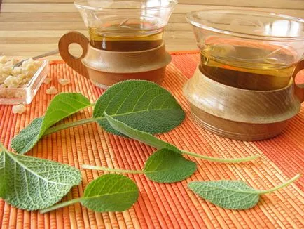 Tea zsálya előnyök és ártalmak, hogyan kell inni és a sörfőzés (kár) Tea zsálya előnyök és ártalmak, hogyan kell inni és a sörfőzés