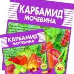 A takarmány-ribizli - rendszere és táplálási megtermékenyítés (fedőrétegként) A takarmány ribizli - etetés rendszer alkalmazását, valamint az műtrágyák