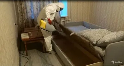 Mit kell hozni a bolhák otthonról fotók és videó tippeket, hogyan mérgezik a bolhák egy lakásban otthon, (visszavonja) Mit kell hozni a bolhák otthonról fotók és videó tippeket, hogyan mérgezik a bolhák egy lakásban otthon,