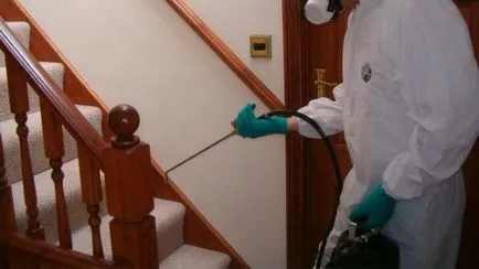 Mit kell hozni a bolhák otthonról fotók és videó tippeket, hogyan mérgezik a bolhák a lakásban otthon (home) Mit kell hozni a bolhák otthonról fotók és videó tippeket, hogyan mérgezik a bolhák egy lakásban otthon,