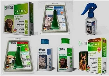 Fekete bolhák a házban -, hogyan lehet megszabadulni a méreg, mint