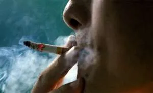 Mit lehet füst dohány helyett dohányt helyettesítő az otthon Mit lehet füst dohány helyett dohányt helyettesítő az otthon