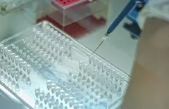 Mit jelent az általános és biokémiai vérvizsgálattal