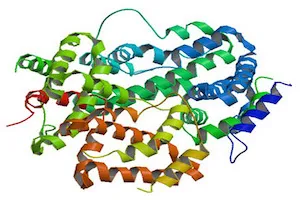 Mi az interferonok, hatásmechanizmusa, típusai (mechanizmus) Mi az interferonok, hatásmechanizmus, típusai
