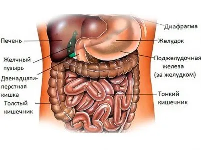 MRI azt mutatja, hogy a belső szervek a hasüregbe, előkészítése, hasznos oldal anyáknak és apukák (hasi) MRI azt mutatja, hogy a belső szervek a hasüregbe, előkészítése, hasznos weboldal az anyukák és apukák