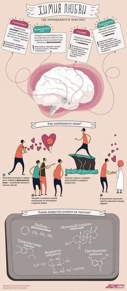 Mi történik az emberi agy, amikor beleszeret infographics, infographic, érveket és tényeket (az anyag az agy növekedésével) Mi történik az emberi agy, amikor beleszeret infographics, infographic, érveket és tényeket