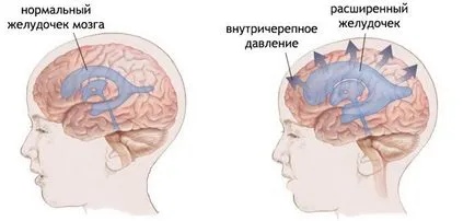Mi Yandex