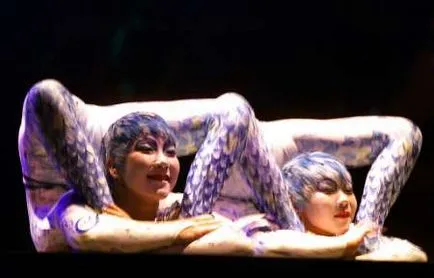 Cirque du soleil Cirque du Soleil