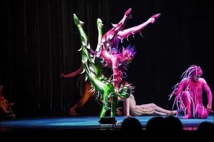 Circus du sói, ahol az