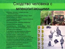 Biológia lecke