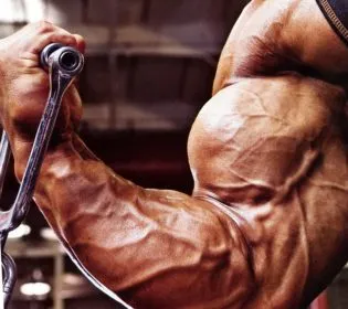 bicepsz gyakorlatokat otthon és az edzőteremben (gyakorlat) bicepsz gyakorlatokat otthon és az edzőteremben