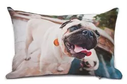 Párnák Dogs