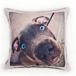 Párnák Dogs