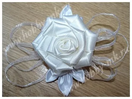 Hogy egy egyszerű és elegáns rózsát strip - u