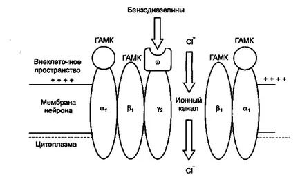 A diazepam (diazepam) javallatok és ellenjavallatok, alkalmazási utasításokat, áttekintésre, analógok (diazepam) A diazepam (diazepam) javallatok és ellenjavallatok, alkalmazási utasításokat, áttekintésre, analógok