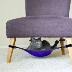 Kis ház egy macska kezével méretrajzokkal lépésről lépésre, fotók, videók
