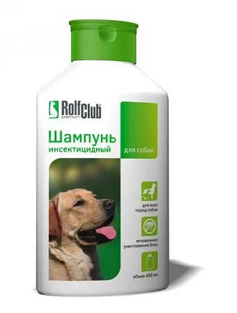 Pet bolha és hogyan megszabadulni tőlük