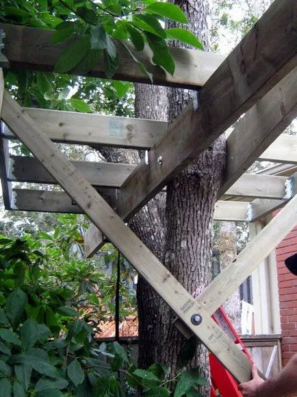 Treehouse fotót a saját kezét, rajz, videó utasítás (fa) Treehouse fotót a saját kezét, rajz, videó használati