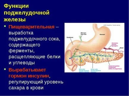 A hasnyálmirigy működését az emberi szervezetben, hasnyálmirigy-gyulladás (hasnyálmirigy szerepét az emberi szervezetben) A hasnyálmirigy működését az emberi szervezetben, pancreatitis