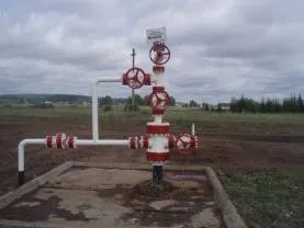 gasser