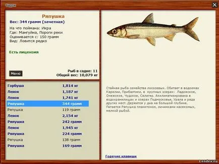 Hol vannak a halak harapós Karéliában, ötletek halász (műtárgyak halászat) Hol vannak a halak harapós Karéliában, ötletek horgász