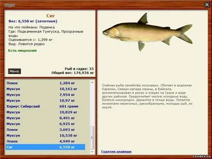 Hol vannak a halak harapós Karéliában, horgász ötletek (hal) Hol vannak a halak harapós Karéliában, ötletek horgász