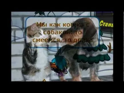 A glükóz macska - macska glükóz dalszövegek hallgatni mp3 letöltés (Cat vadállat) A glükóz macska - macska glükóz dalszövegek hallgatni, mp3 letöltés