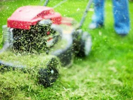 Hogyan válasszuk ki a megfelelő fűnyíró