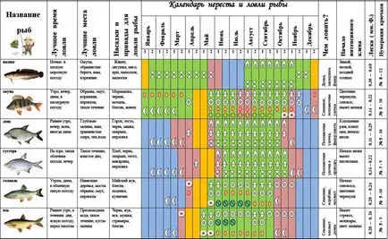 Menetrend horgászat - outlook harapós halak harapós napon, harapás naptár (harapás) Menetrend horgászat - outlook harapós halak harapós nap, naptár harapás