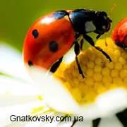 A képméret változtatása képest a blokk, a tervezés és fejlesztés a helyszín