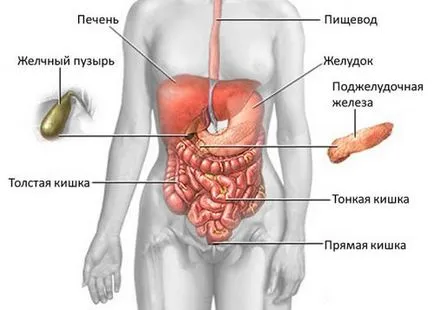 Hogy fáj a hasnyálmirigy emberben a fő tünetei (gyulladt) Hogy fáj a hasnyálmirigy emberben a fő tünetei