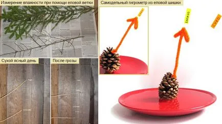 Mért páratartalom, mint otthon