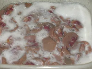 Gyorsított feldolgozási módszer vesék (nélkül emésztés) és fényképek recept