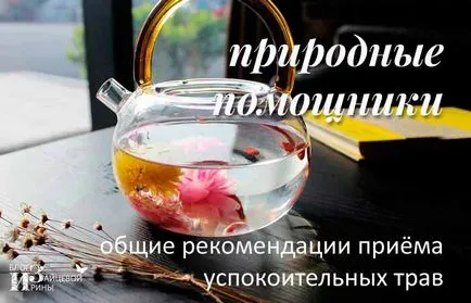 Nyugtató füvek és eszközök, blog Iriny Zaytsevoy