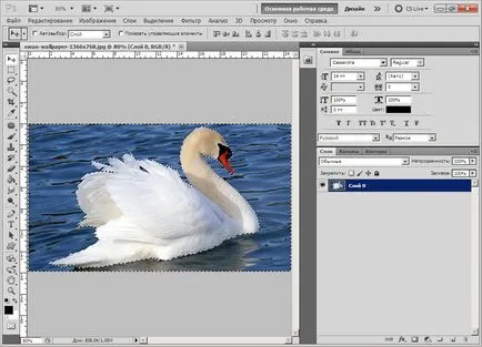 Photoshop tutorialok, elválasztása az objektumot a háttérben, hogyan kell vágni, mind a Photoshop