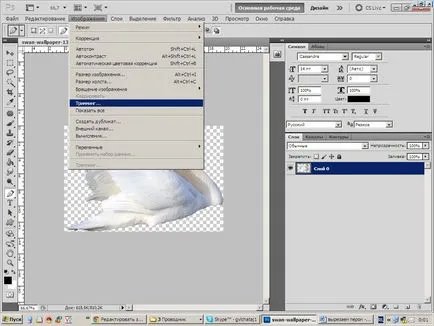 Photoshop tutorialok, elválasztása az objektumot a háttérben, hogyan kell vágni, mind a Photoshop