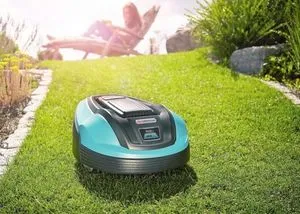 Melyek a fűnyíró, és hogyan kell kiválasztani a megfelelő - faház gondolatok és tapasztalatok a kertészek