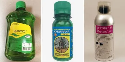 Hogyan lehet megszabadulni a bolhák a lakásban saját hatékony eszköze
