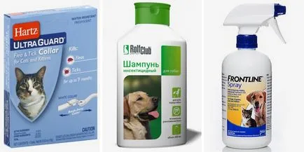 Hogyan lehet megszabadulni a bolhák a lakásban saját hatékony eszköze