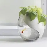 Örülök, hogy díszíteni egy lakás, érdekes ötleteket a dekoráció (milyen szépen díszítik a lakást) Örülök, hogy díszíteni egy lakás, érdekes ötleteket dekoráció