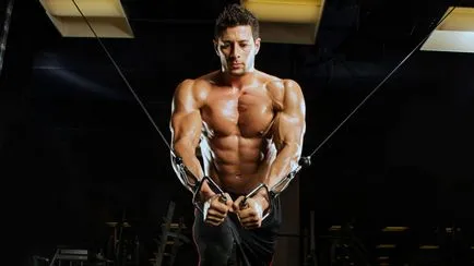 Hogyan építsünk mellizmok gyakorlatok a felső és az alsó rész, trainingbody Hogyan építsünk mellizmok gyakorlatok a felső és az alsó rész, trainingbody