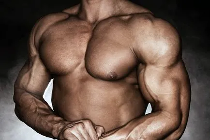 Hogyan építsünk mellizmok gyakorlatok a felső és az alsó rész, trainingbody (gyakorlat) Hogyan építsünk mellizmok gyakorlatok a felső és az alsó rész, trainingbody
