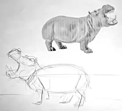 Hogyan kell felhívni a víziló (gippopopotama) (ábra Hippo) Hogyan kell felhívni a víziló (gippopopotama)