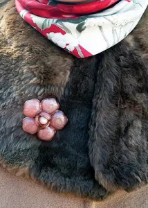 Hogyan vegyek brossok - melyik oldalon, hogy rögzítse a bross egy kabát, ing, vagy kabát, yuvelirum (a) Hogyan vegyek brossok - melyik oldalon, hogy rögzítse a bross egy kabát, ing, vagy kabát, yuvelirum