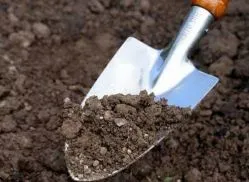 Hogyan állapítható meg, a talajtípus, a kertben