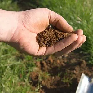 Hogyan állapítható meg, a savasság a talaj a növény fajtájától (meghatározandó) Hogyan állapítható meg, a savasság a talaj a növény fajtájától