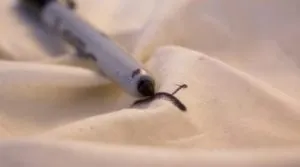 Hogyan mossa toll, fehér és színes ruhák