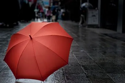 Melyik esernyő jobb választani a megfelelő, üvegszálas vagy szénszálas, mint korábban hazánkban (nem kötelező) Melyik esernyő jobb választani a megfelelő, üvegszálas vagy szénszálas, mint korábban hazánkban
